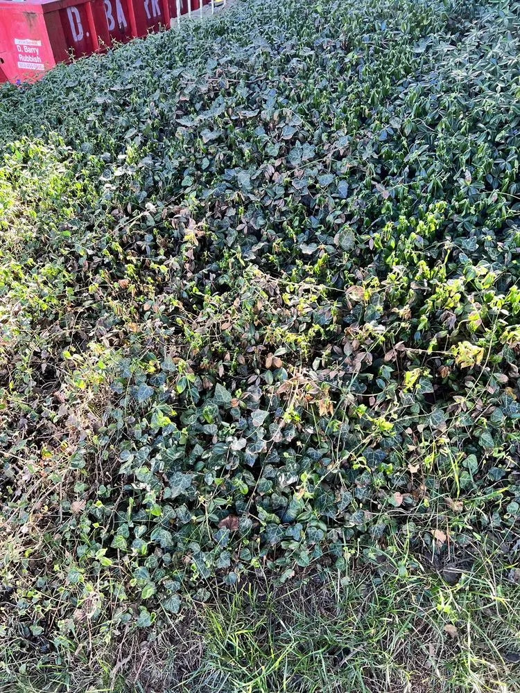 Expert residential landscaping in Danbury, CT by TruGreen Lawn Care