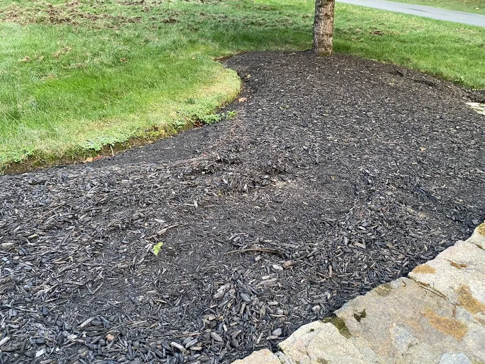 Expert outdoor landscaping in Danbury, CT - TruGreen Lawn Care