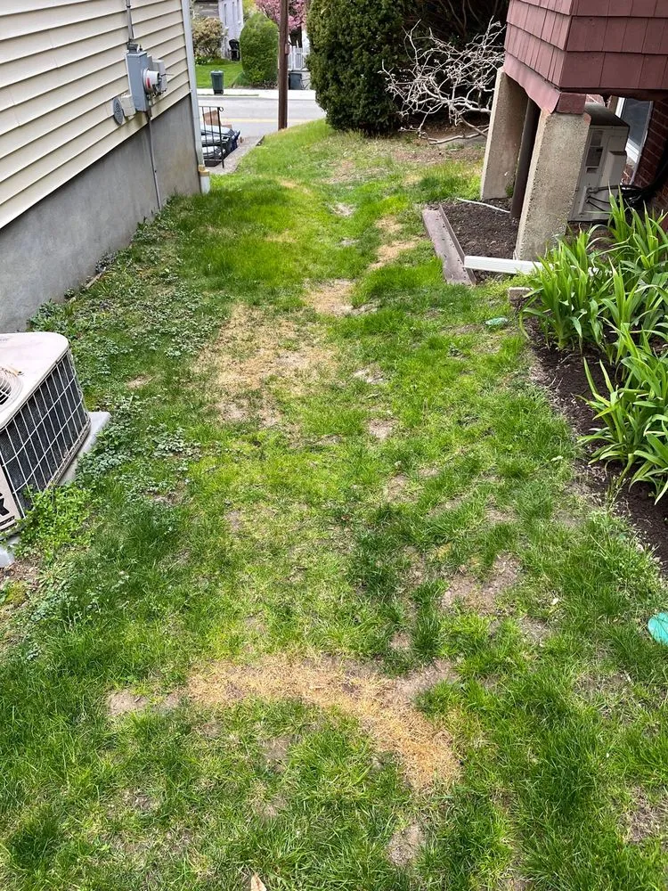 Expert lawn mowing service in Danbury, CT by TruGreen Lawn Care