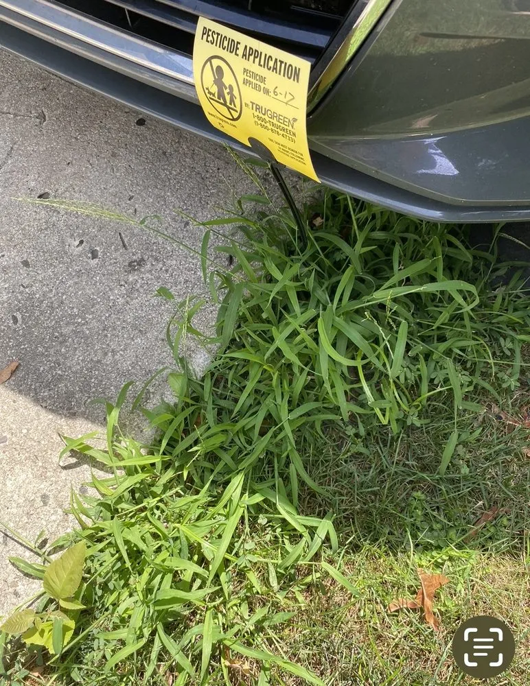 Expert outdoor landscaping experts serving Danbury, CT - TruGreen Lawn Care