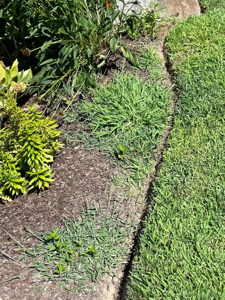 Expert residential landscaping in Danbury, CT - TruGreen Lawn Care