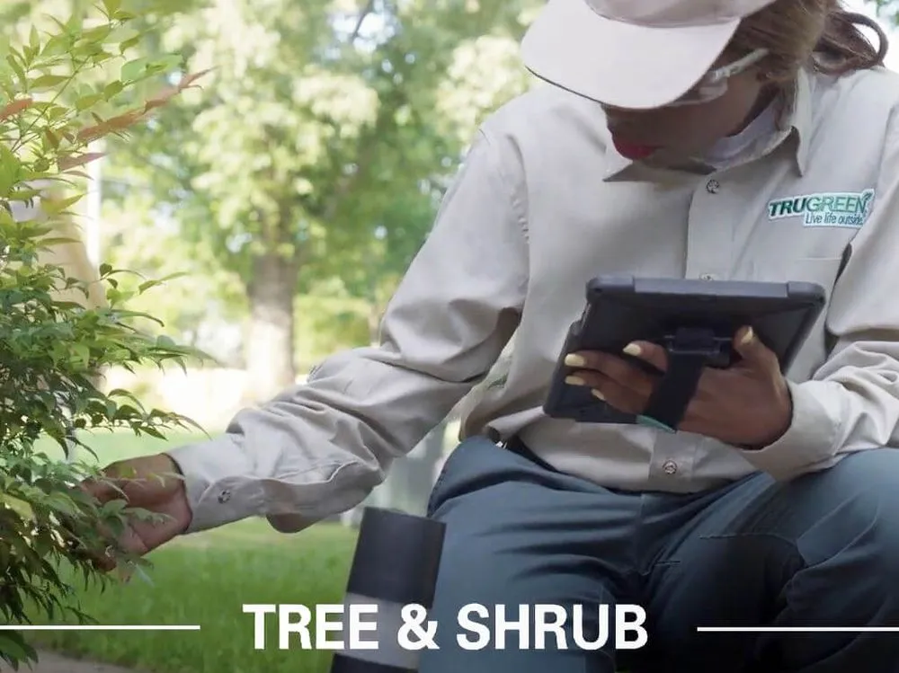 Top-rated landscape installation experts serving Davenport, IA - TruGreen Lawn Care