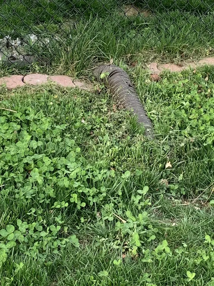 Trusted landscape installation with custom design in Eau Claire, WI by TruGreen Lawn Care