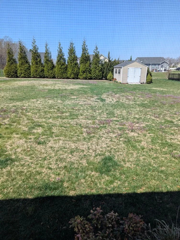 Custom residential landscaping near you in Harrington, DE by TruGreen Lawn Care