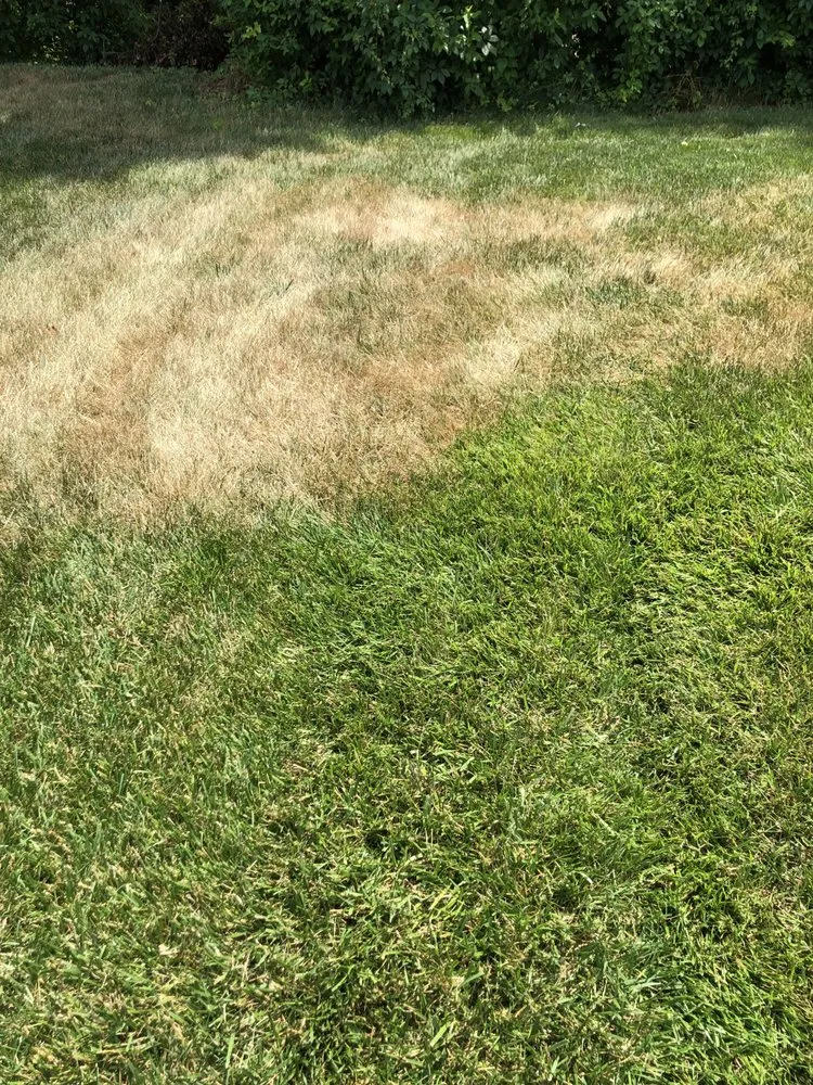 Affordable outdoor landscaping in Harrington, DE by TruGreen Lawn Care