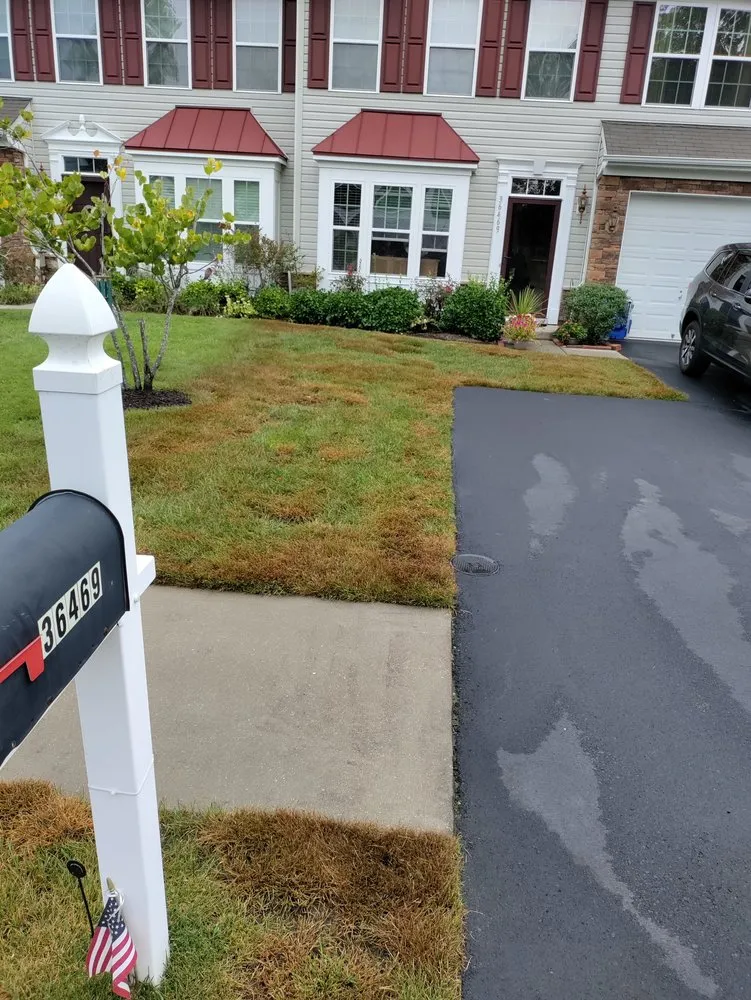 Local yard maintenance near you in Harrington, DE by TruGreen Lawn Care