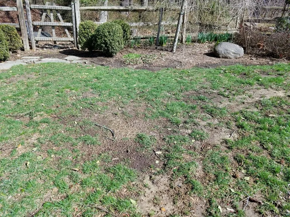 Top-rated residential landscaping for year-round maintenance across Harrington, DE - TruGreen Lawn Care