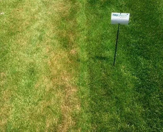 Custom landscape installation with custom design in Harrisburg, PA by TruGreen Lawn Care