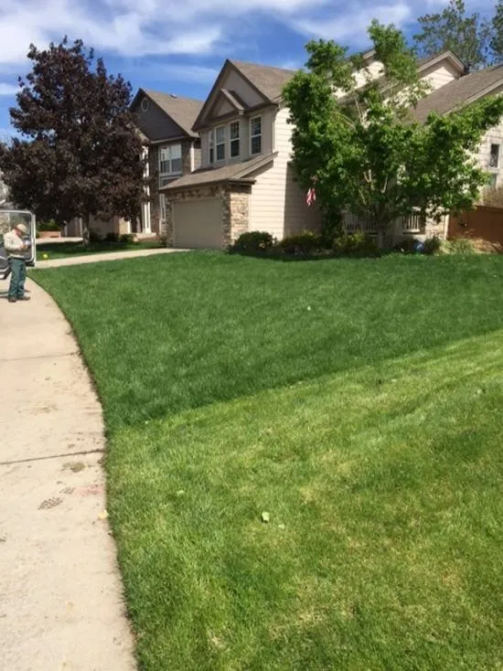 Professional landscape installation in Harrisburg, PA - TruGreen Lawn Care