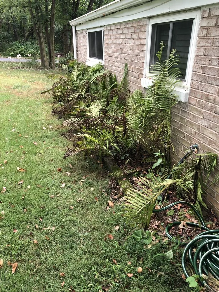 Reliable outdoor landscaping for homes in Harrisburg, PA by TruGreen Lawn Care