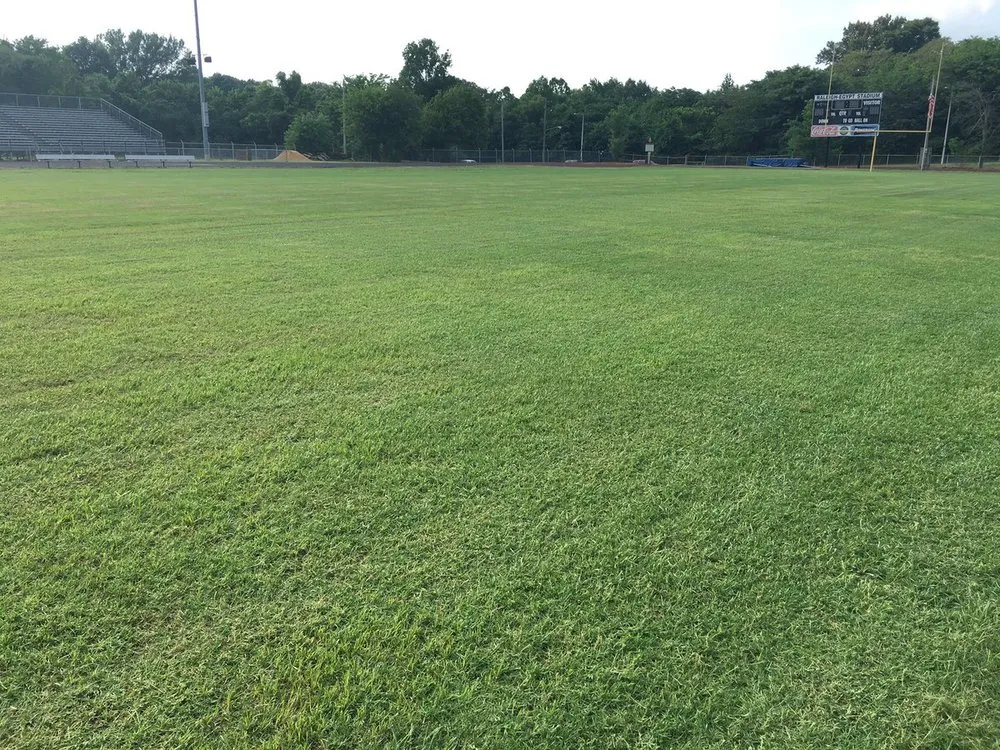 Top-rated yard cleanup service with custom design across Harrisburg, PA - TruGreen Lawn Care