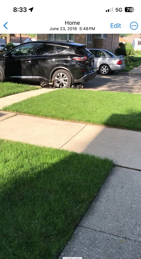 Trusted yard maintenance in Hickory Hills, IL by TruGreen Lawn Care
