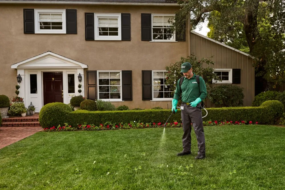 Professional outdoor landscaping in Houston, TX by TruGreen Lawn Care
