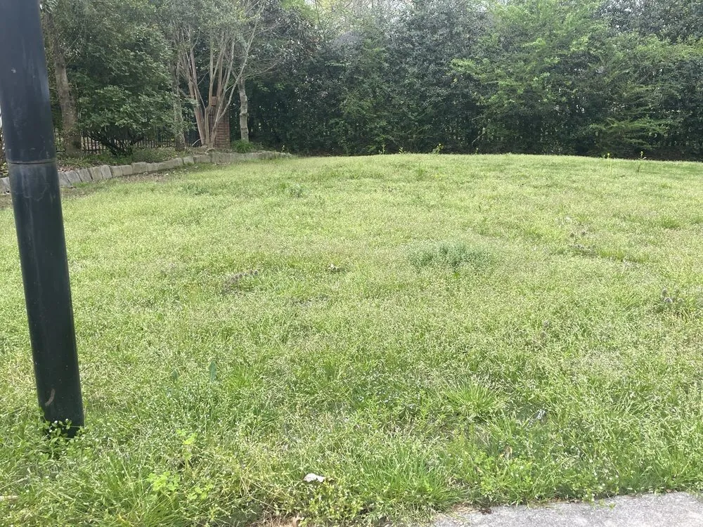 Professional lawn mowing service for homes across Huntsville, AL - TruGreen Lawn Care