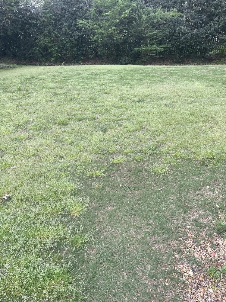 Custom lawn mowing service in Huntsville, AL - TruGreen Lawn Care