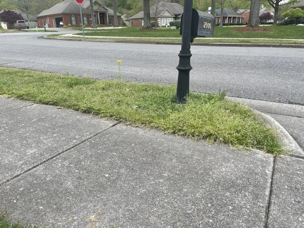 Expert landscaping services experts serving Huntsville, AL - TruGreen Lawn Care