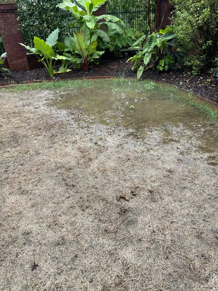 Local landscaping services experts serving Huntsville, AL - TruGreen Lawn Care