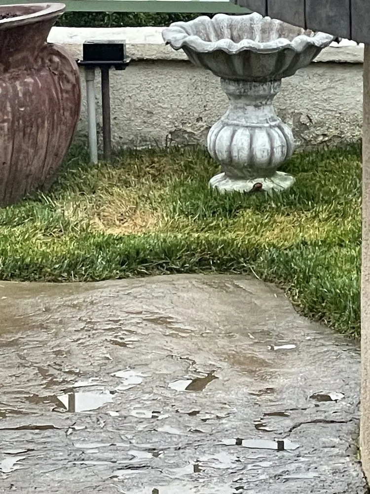 Top-rated landscape installation in Irwindale, CA - TruGreen Lawn Care