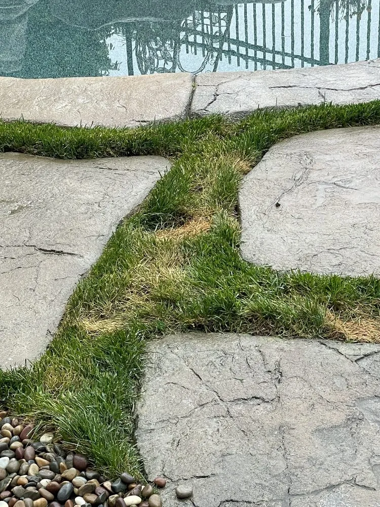 Custom landscaping services in Irwindale, CA by TruGreen Lawn Care