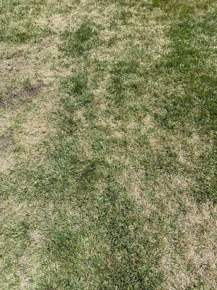 Top-rated outdoor landscaping experts serving Irwindale, CA - TruGreen Lawn Care