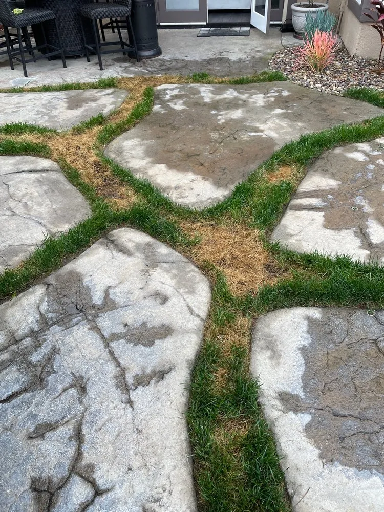 Local lawn care service in Irwindale, CA - TruGreen Lawn Care