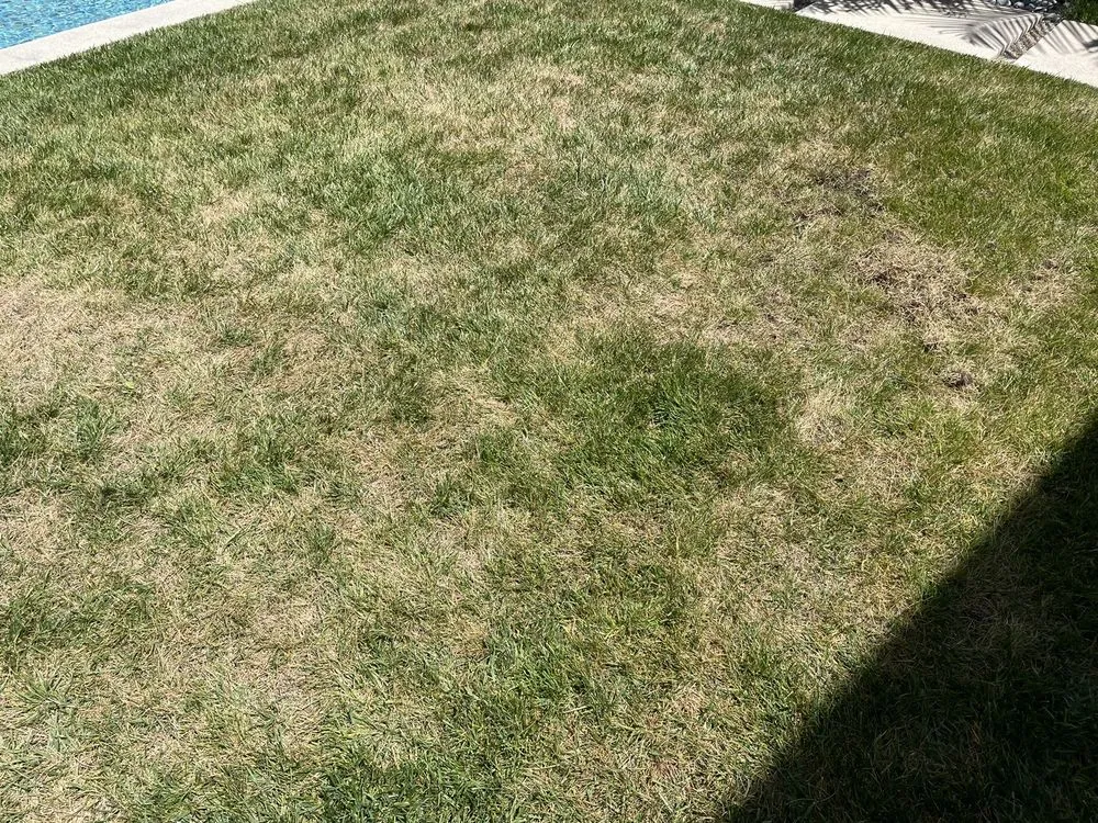 Top-rated garden landscaping in Irwindale, CA - TruGreen Lawn Care