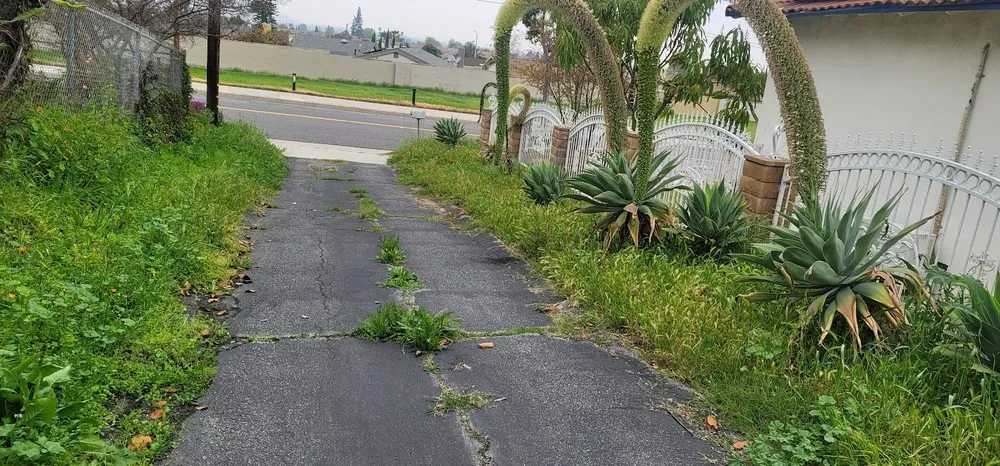 Reliable yard maintenance experts serving Irwindale, CA - TruGreen Lawn Care