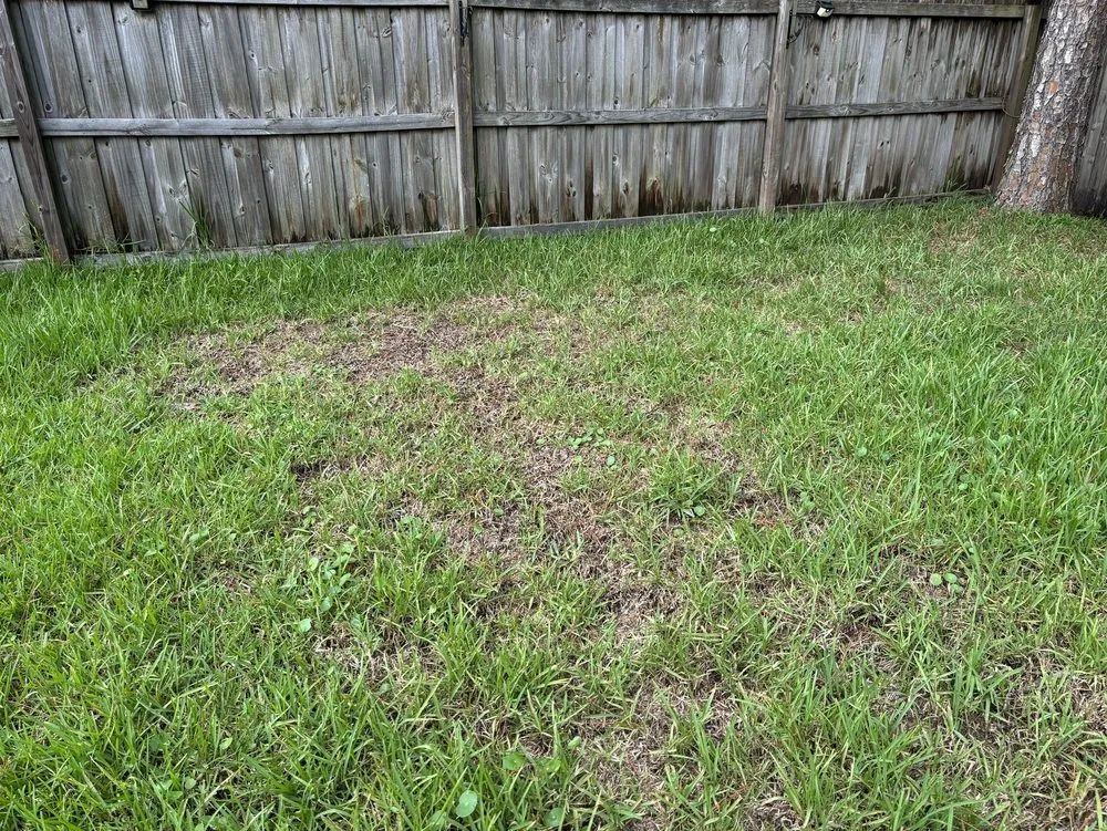 Affordable landscape design experts serving Jacksonville, FL - TruGreen Lawn Care