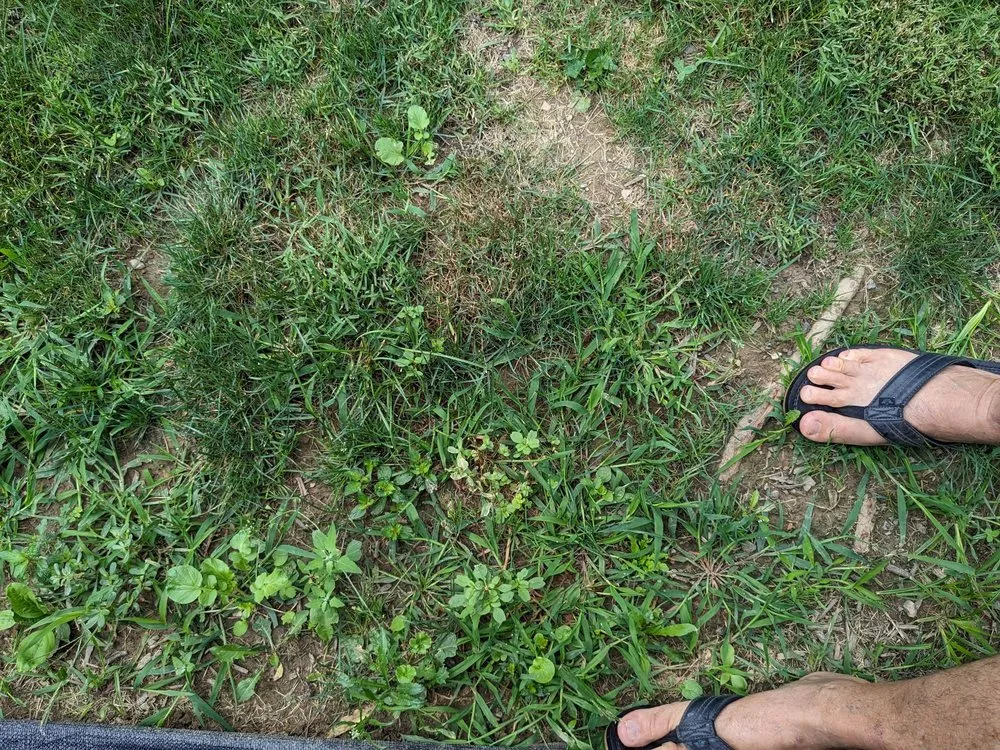 Top-rated lawn care service experts serving Johnstown, PA - TruGreen Lawn Care