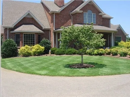 TruGreen Lawn Care Logo