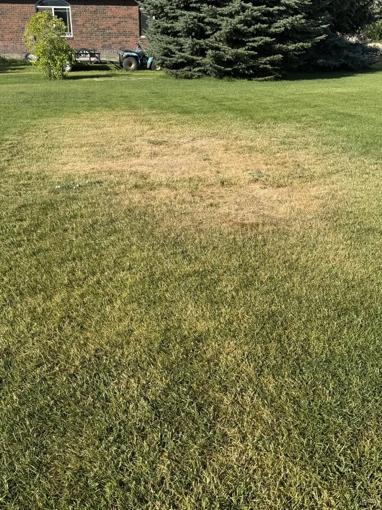 Professional residential landscaping experts serving Kimberly, ID - TruGreen Lawn Care