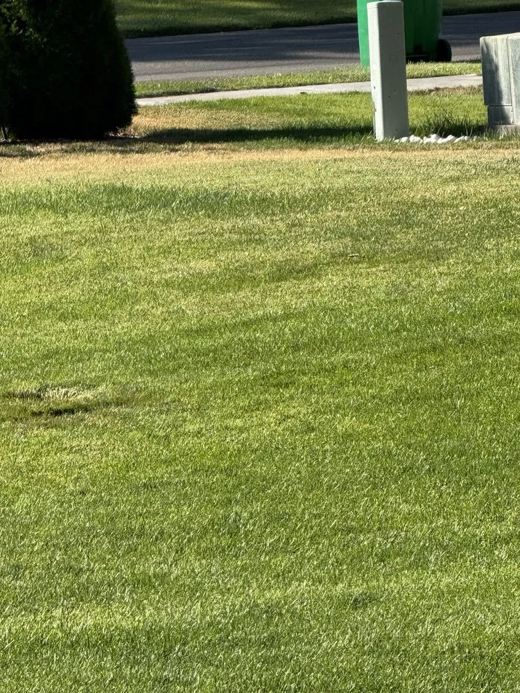 Expert lawn mowing service for residential properties in Kimberly, ID by TruGreen Lawn Care