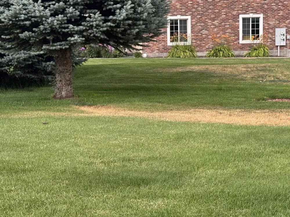 Custom landscaping services for homes across Kimberly, ID - TruGreen Lawn Care