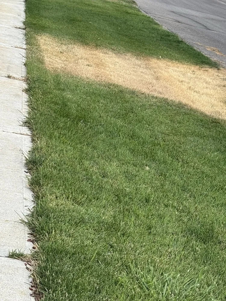 Custom garden landscaping for beautiful yards across Kimberly, ID - TruGreen Lawn Care