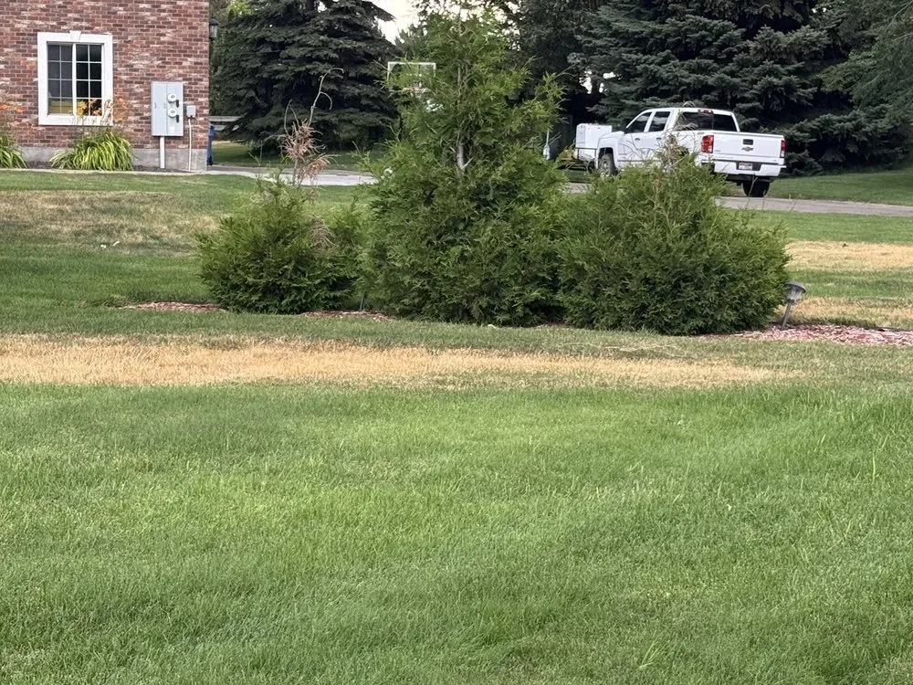 Custom residential landscaping in Kimberly, ID by TruGreen Lawn Care