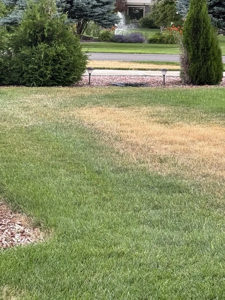 Trusted landscaping services in Kimberly, ID - TruGreen Lawn Care