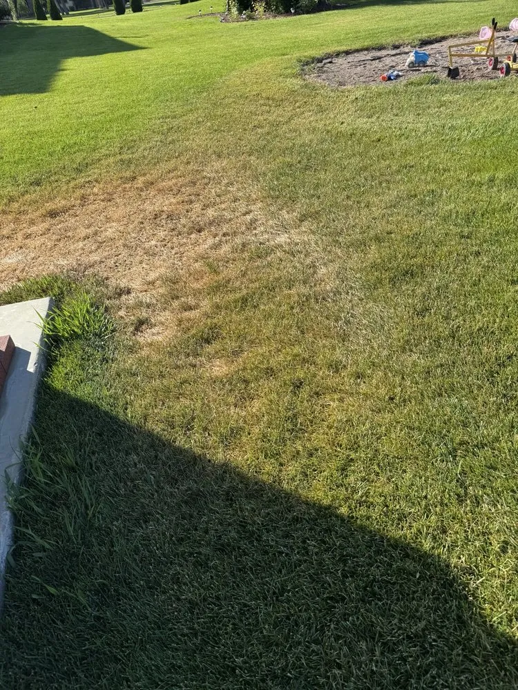 Custom yard cleanup service in Kimberly, ID - TruGreen Lawn Care