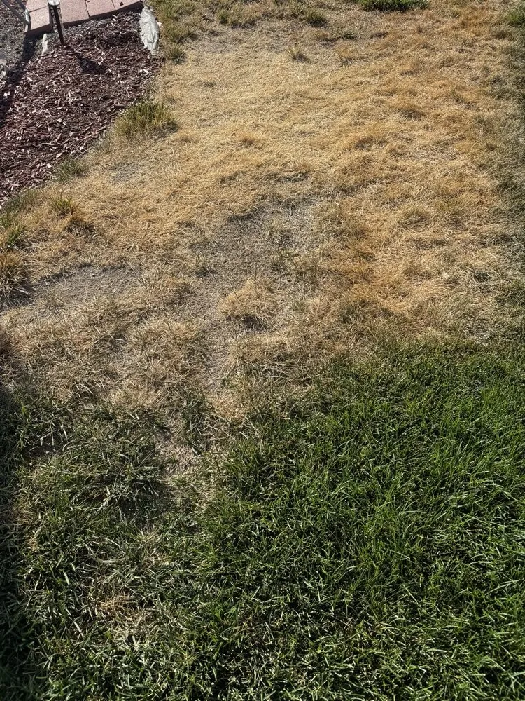 Top-rated landscaping services in Kimberly, ID - TruGreen Lawn Care