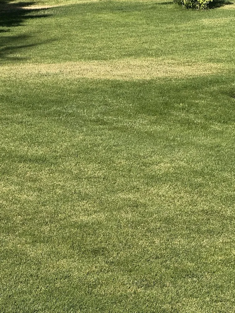 Professional yard maintenance for beautiful yards across Kimberly, ID - TruGreen Lawn Care