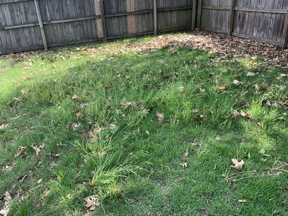 Custom garden landscaping for year-round maintenance in Little Rock, AR by TruGreen Lawn Care