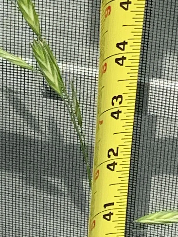 Trusted lawn mowing service in Little Rock, AR - TruGreen Lawn Care