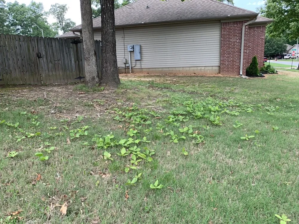 Expert landscape design for outdoor upgrades across Little Rock, AR - TruGreen Lawn Care