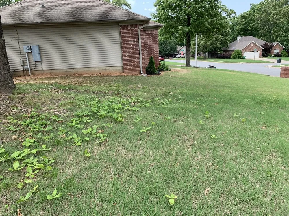 Local outdoor landscaping experts serving Little Rock, AR - TruGreen Lawn Care