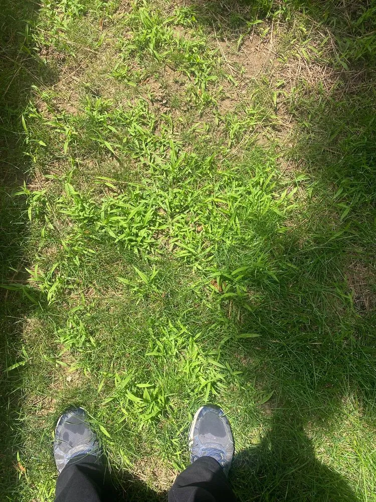 Reliable outdoor landscaping for year-round maintenance across Littleton, CO - TruGreen Lawn Care