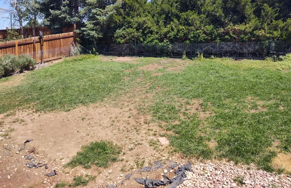 Top-rated lawn mowing service for residential properties across Littleton, CO - TruGreen Lawn Care