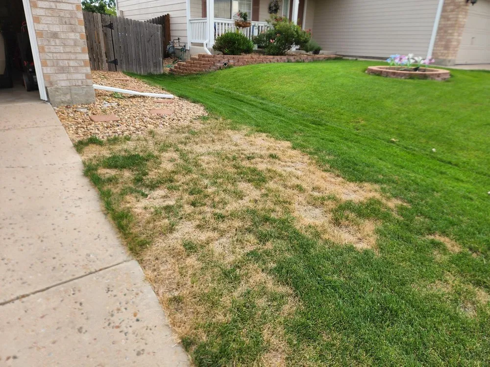 Reliable landscaping services in Littleton, CO by TruGreen Lawn Care