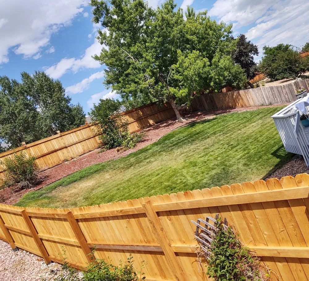Custom lawn care service in Littleton, CO - TruGreen Lawn Care