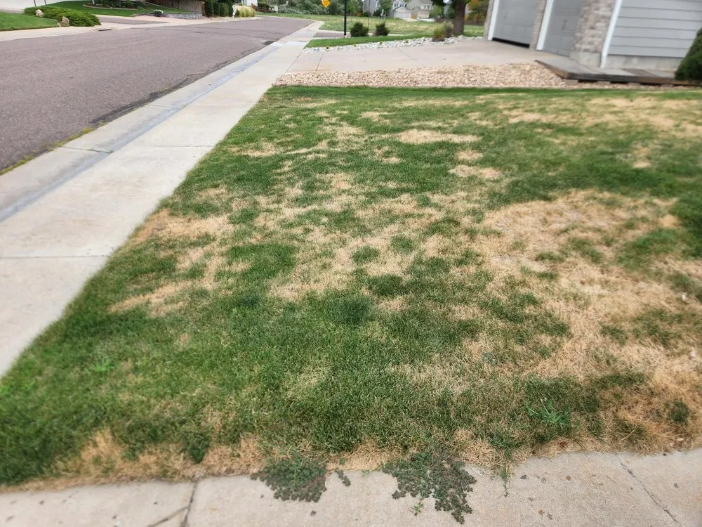 Custom lawn care service in Littleton, CO by TruGreen Lawn Care