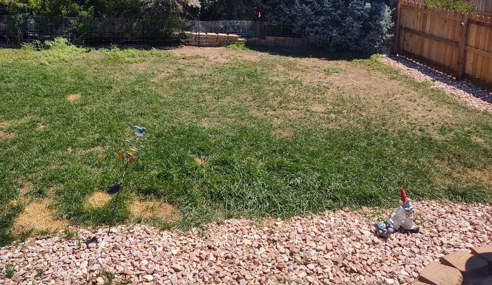 Expert garden landscaping for residential properties across Littleton, CO - TruGreen Lawn Care