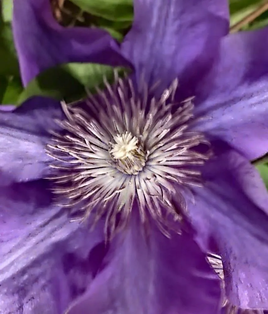 Trusted landscaping services in Littleton, CO by TruGreen Lawn Care